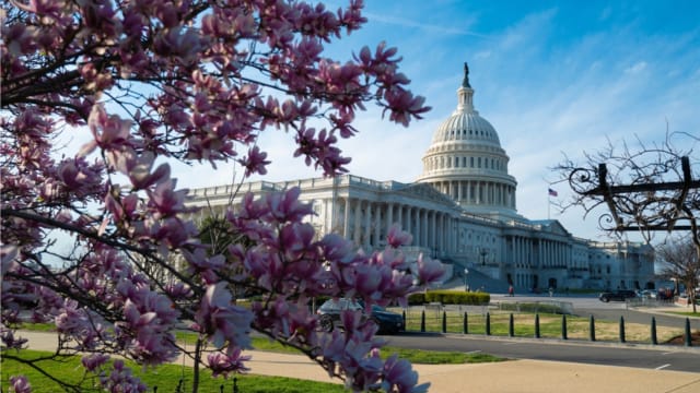cheapest neighborhoods washington dc
