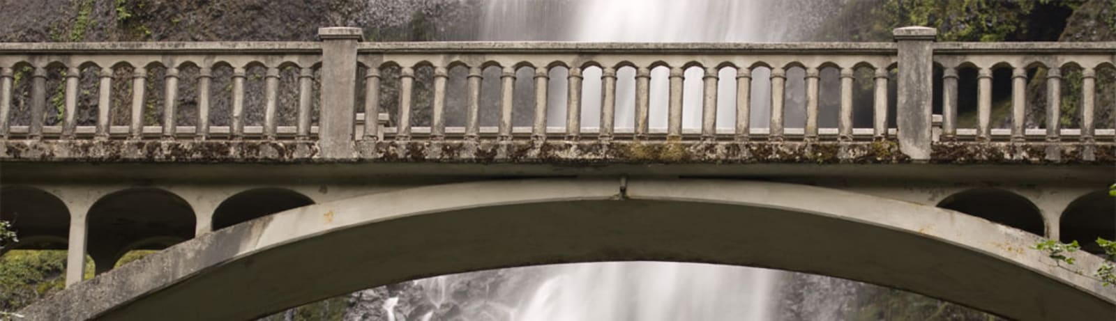 City Guide Header
