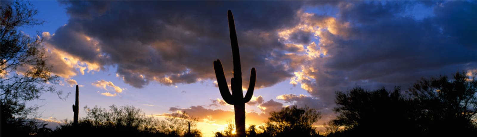 City Guide Header