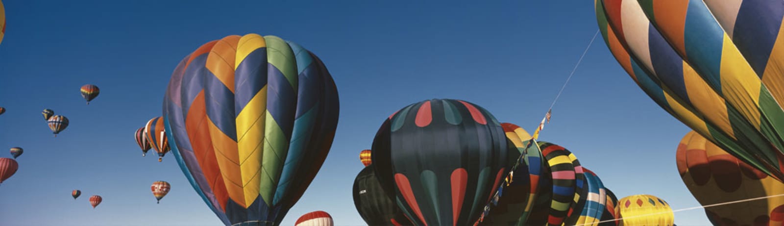 City Guide Header