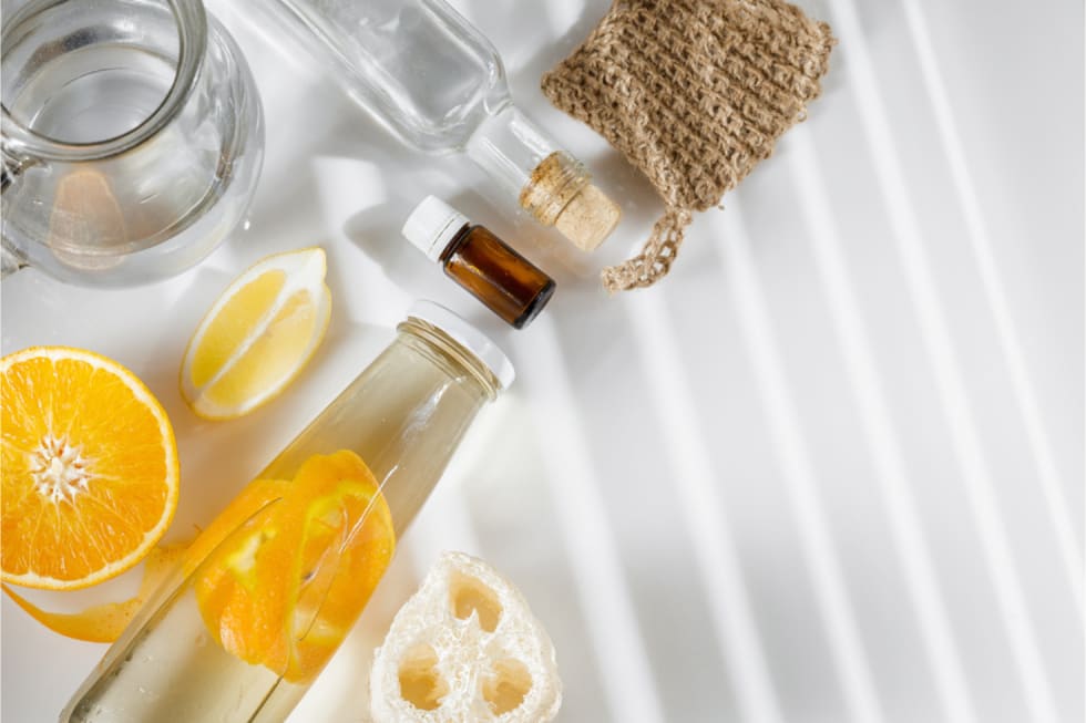 natural-ant-repellents-3