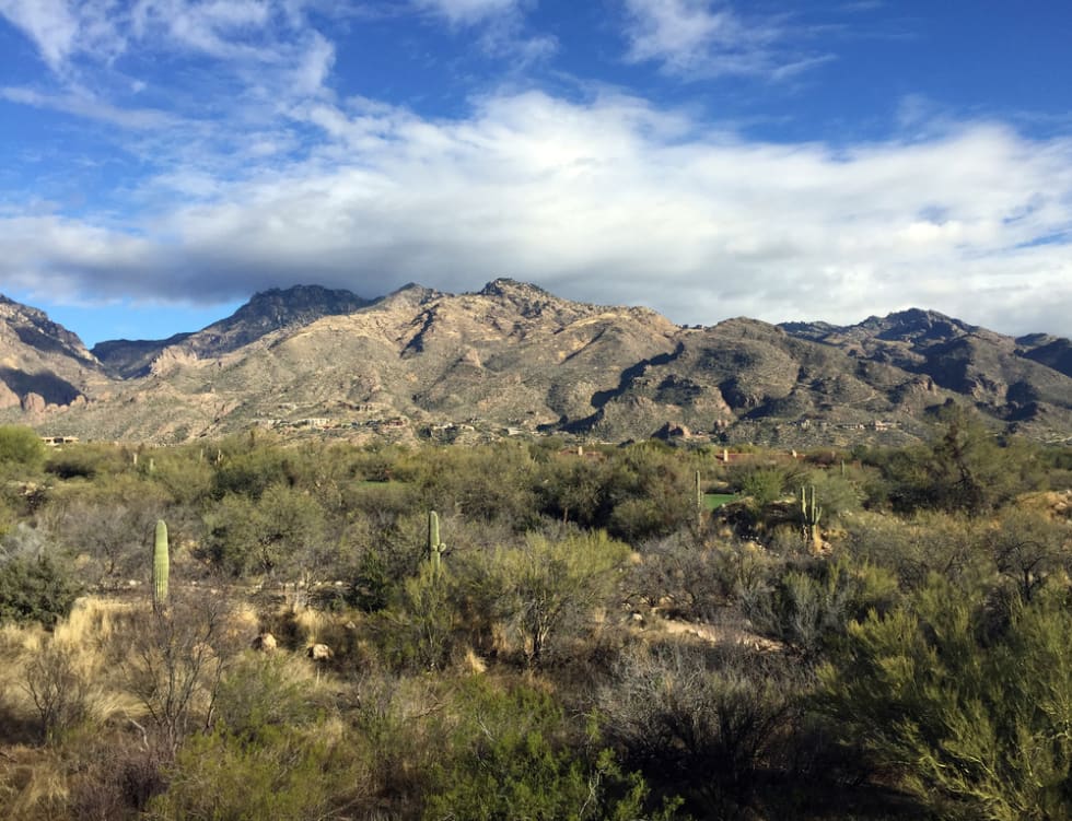 The Catalina Foothills of Tucson, Arizona.