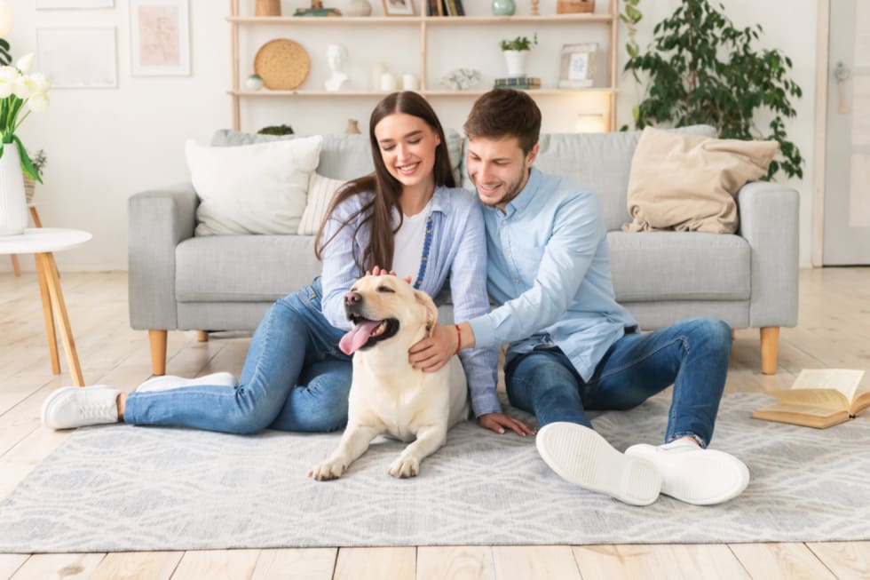 where-to-find-pet-friendly-apartments-1