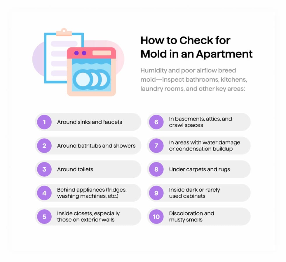 How To Check For Mold In An Apartment - Apartment List