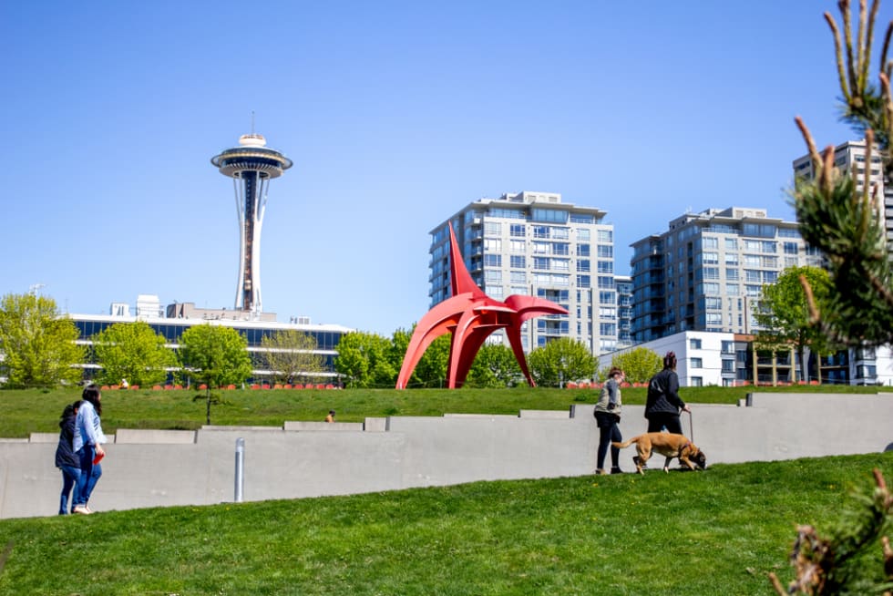 Dog walking in Olympic Sculpture Park