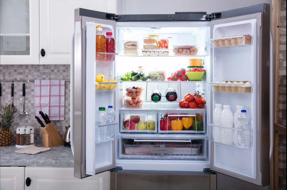 stocked_fridge