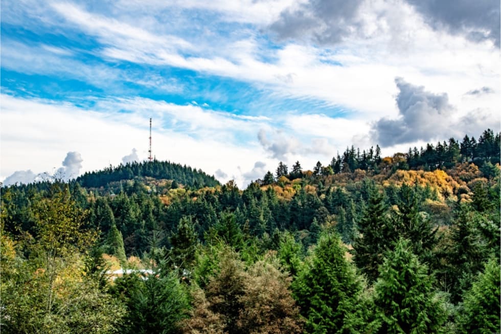 what-is-portland-known-for-2