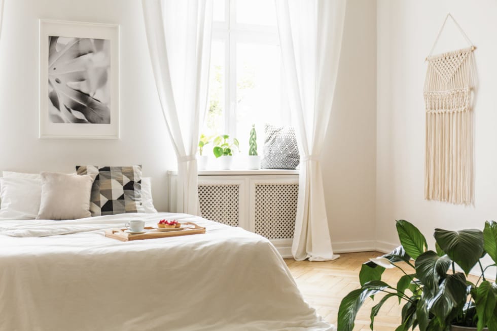 Plants on window sill in bedroom 