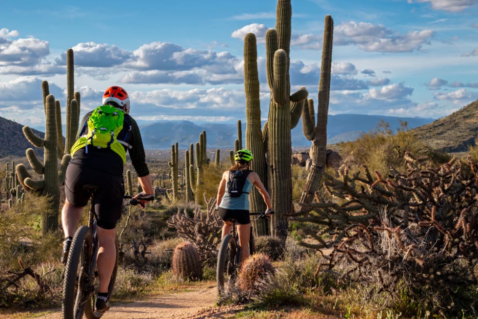 Mountain Biking in Scottsdale