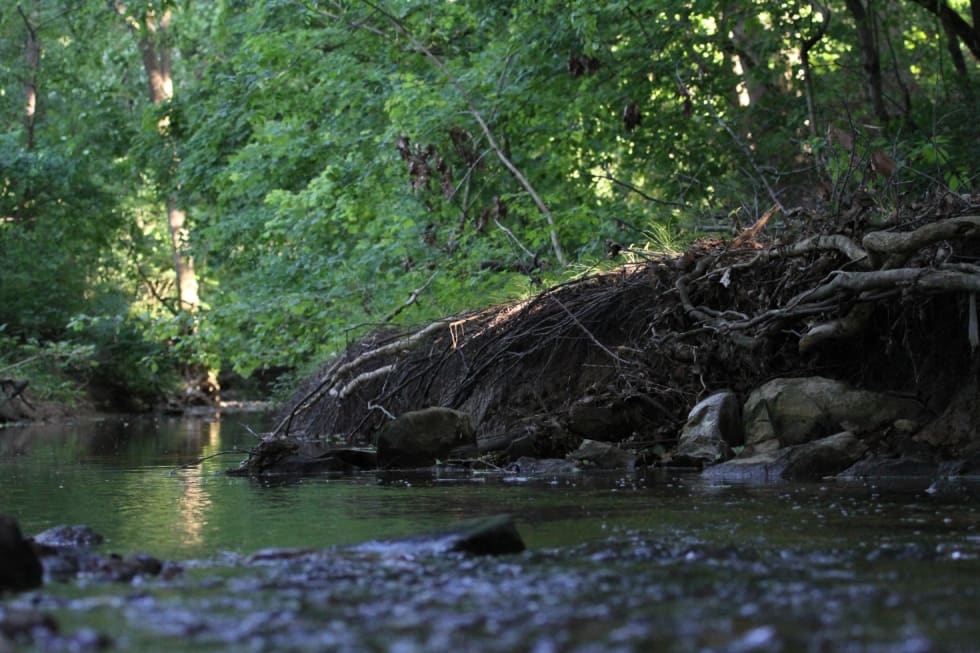 Elizabethtown best places to live in kentucky
