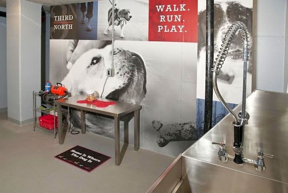 a pet washing station