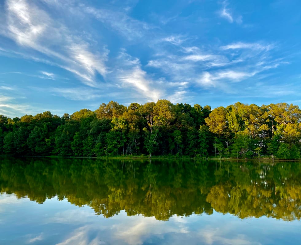 Herb Parsons Lake in Collierville, Tennessee.