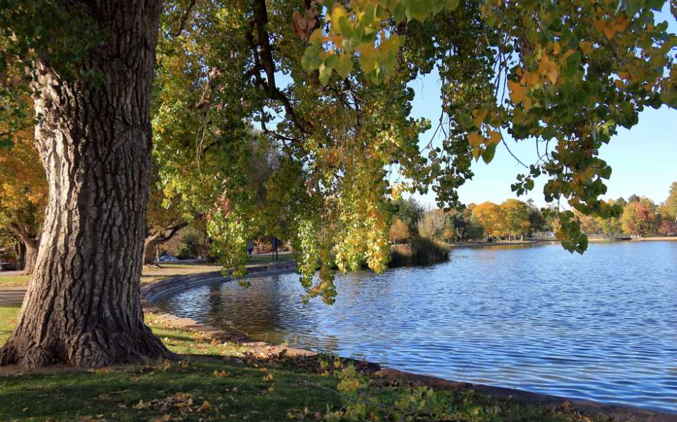 City Park West, one of the Best Denver Neighborhoods