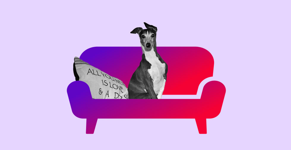 How I Rent: KP's Dog