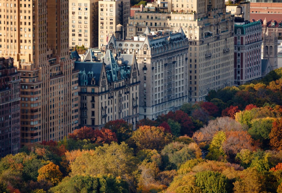  Afternoon light on Central Park's treetops and NYC buildings. Upper West Side building facades and tree colors lit by the autumn sun.