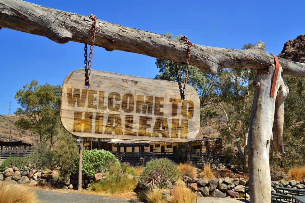  old vintage wood signboard with text " welcome to Hialeah" hanging on a branch