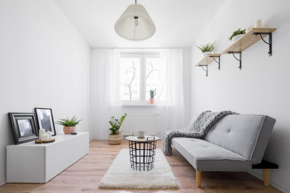 Narrow and stylish living room with furniture in scandinavian style