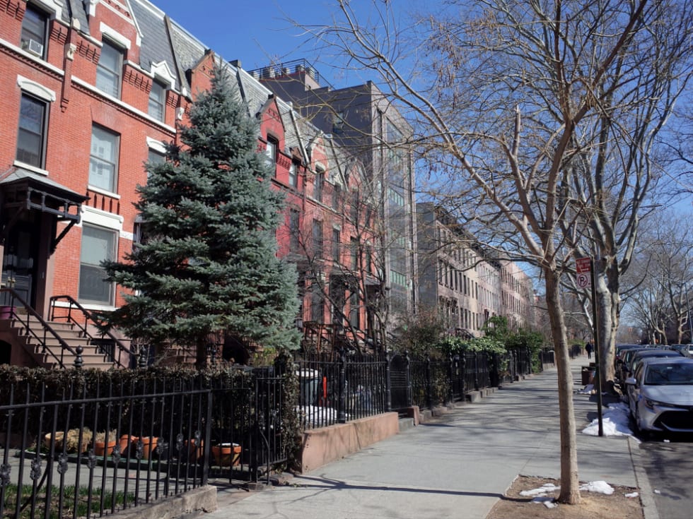 brownstones in Carroll Gardens