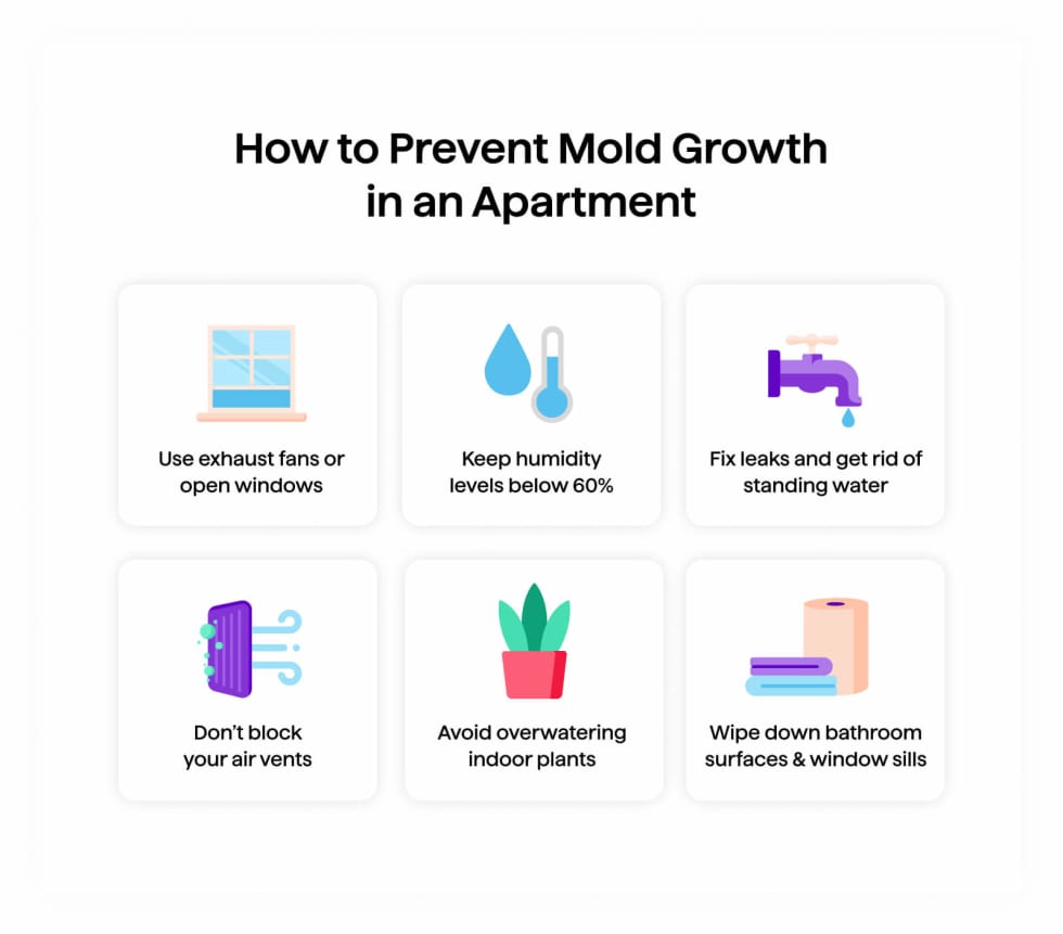 Prevent Mold Growth in an Apartment