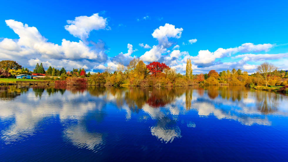 Commonwealth Lake Park in Beaverton