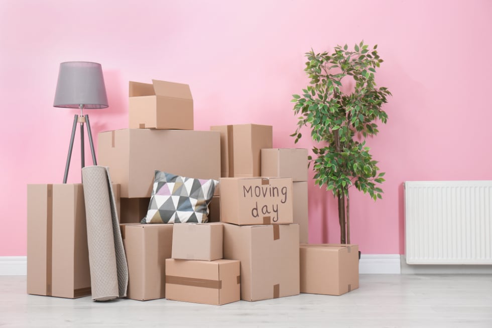 moving day boxes