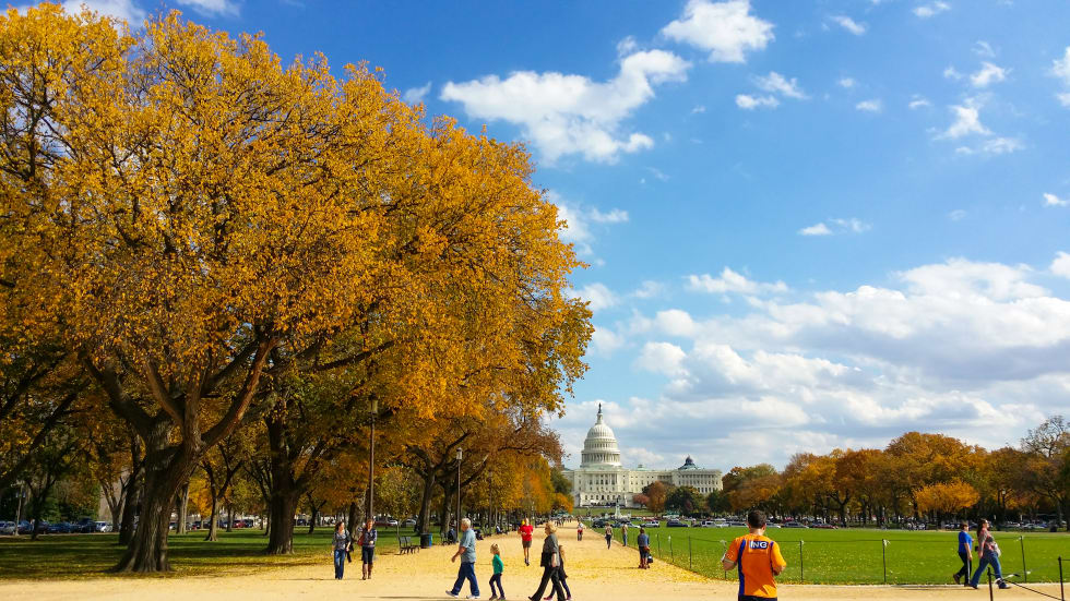 Washington DC in the fall, with families walking and runners jogging. - cost of living in washington dc