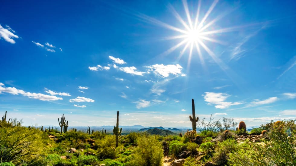 Sunshine in Maricopa County