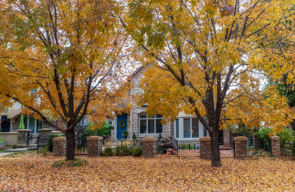 Baker, one of the Best Denver Neighborhoods