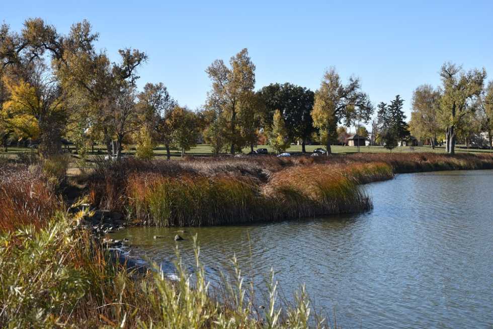 Berkeley, one of the Best Denver Neighborhoods