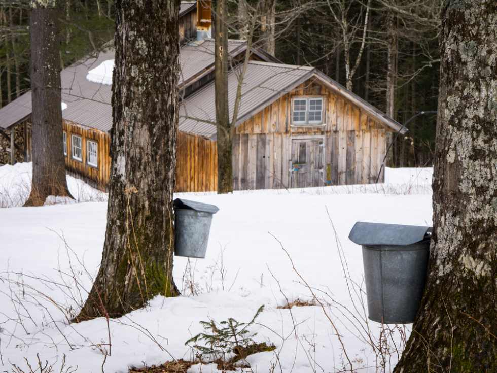 Sugar House in Vermont