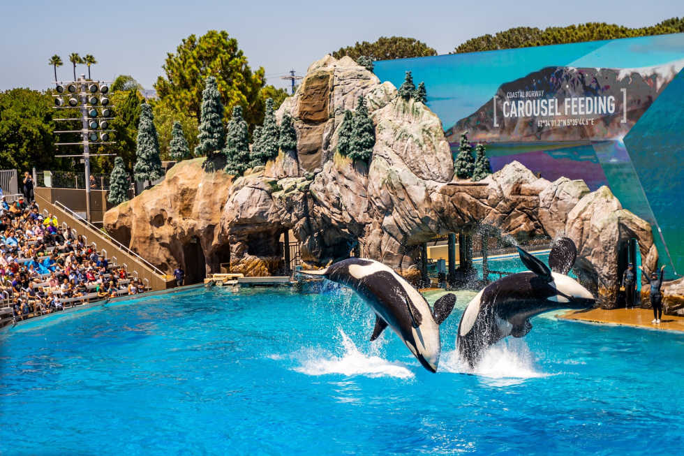 what-is-san-diego-known-for-seaworld
