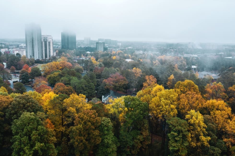 largest-cities-in-georgia-6