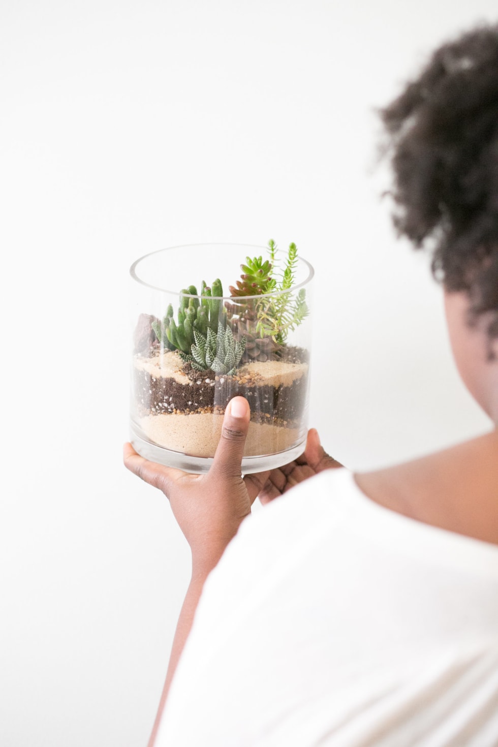 Terrarium