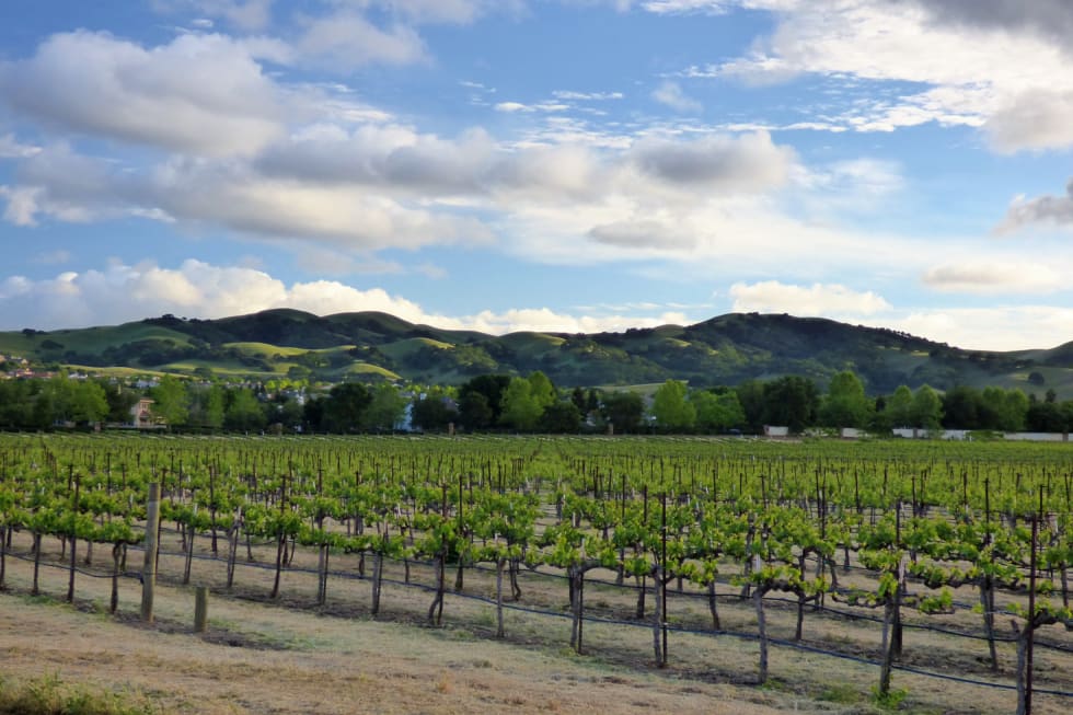 Livermore best cities near San Francisco