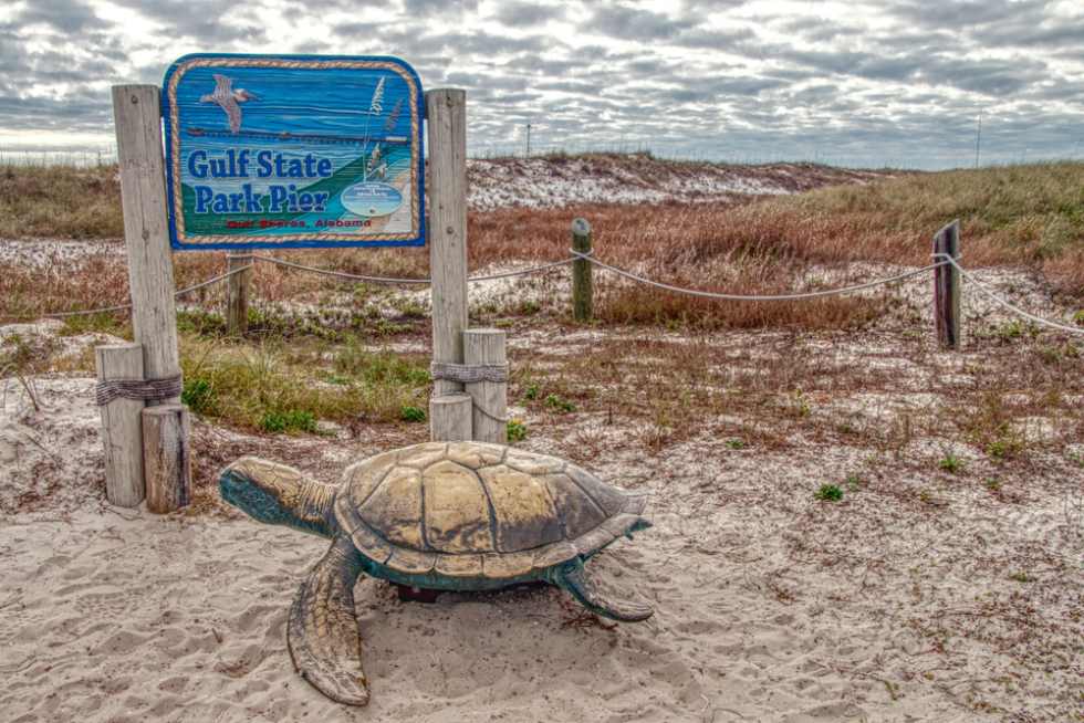 Gulf State Park Pier in Alabama - Apartment List