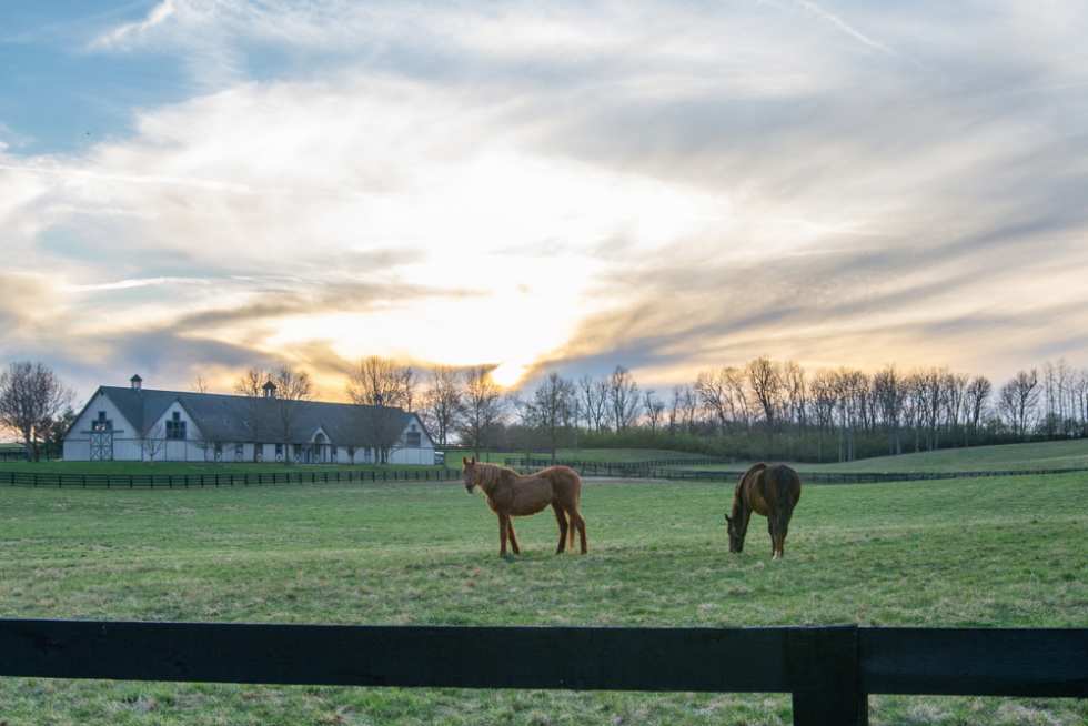 Nicholasville, Kentucky