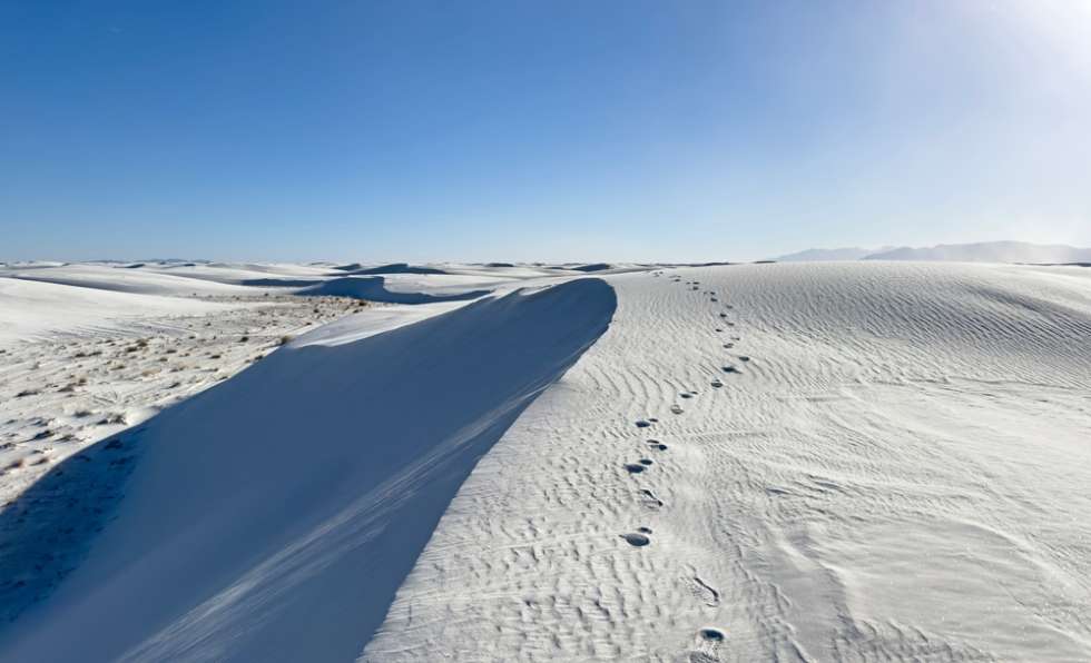 white Sands National Park - Apartment List