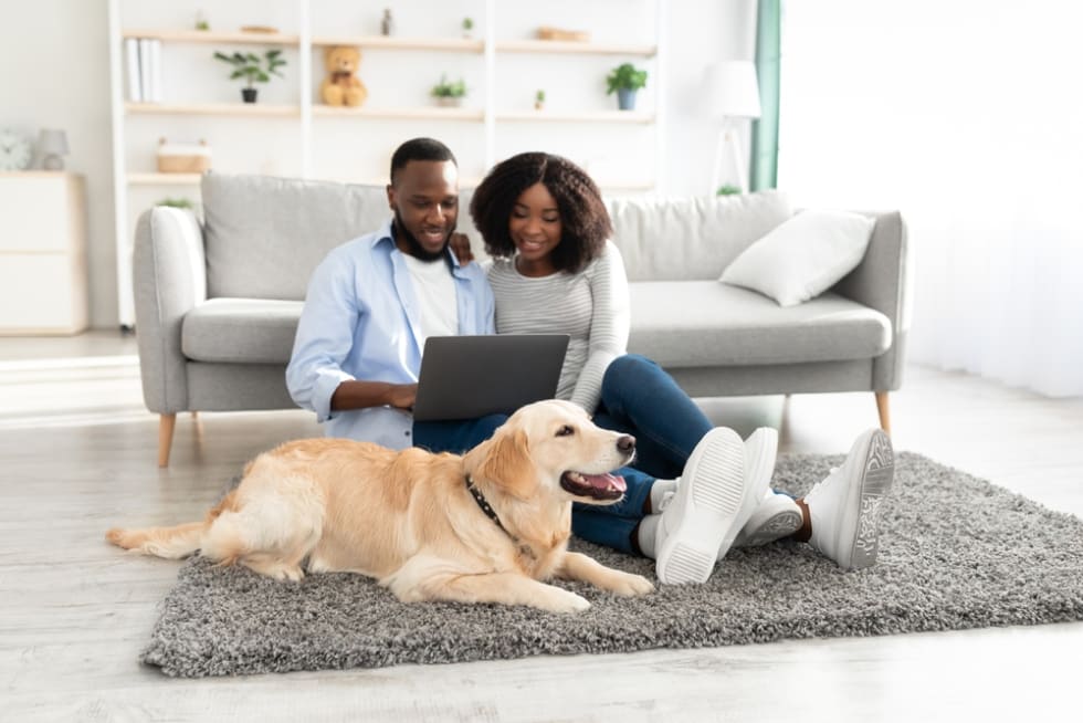 Portrait of happy loving black family sitting on rug floor carpet with dog, using computer and watching movie, browsing internet, spending time together, selective focus on pet