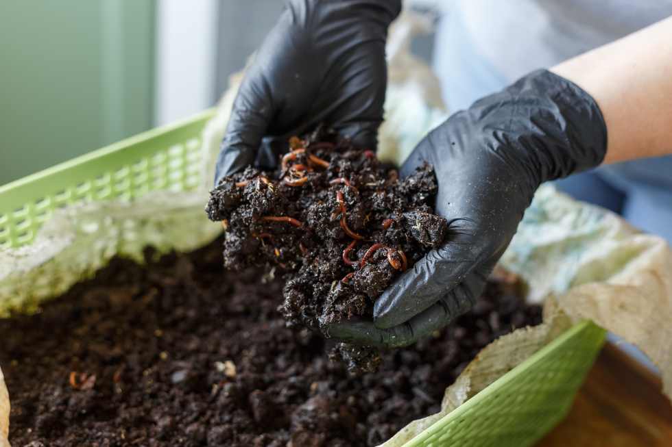 apartment-composting