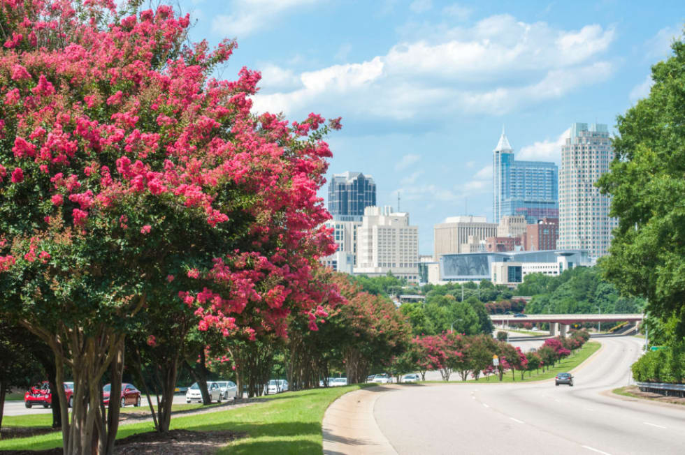 Raleigh Skyline