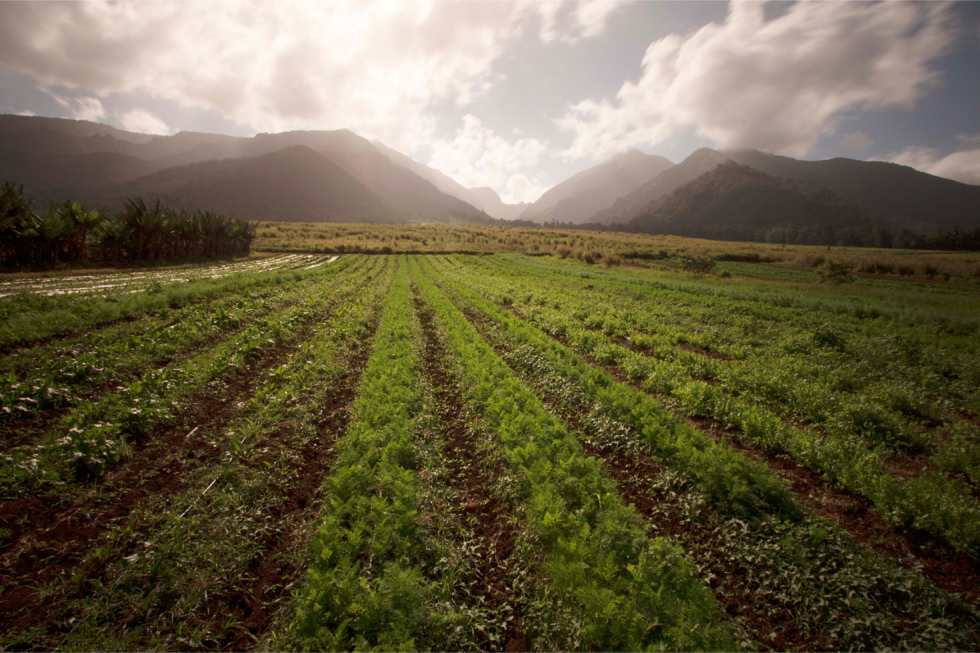 Waikapu - best places to live in Hawaii