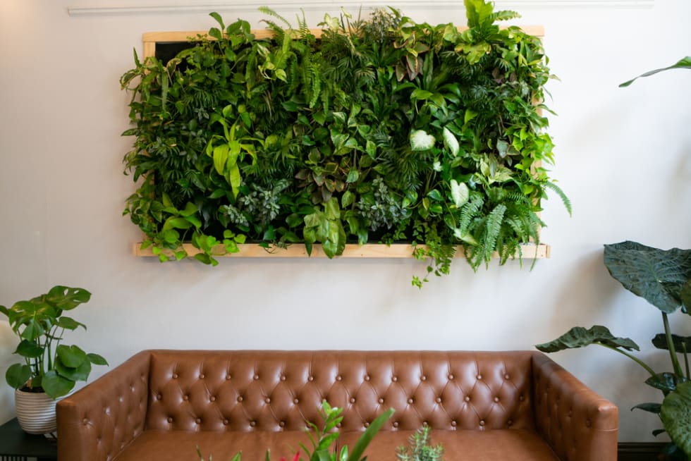 Living Wall  in Apartment