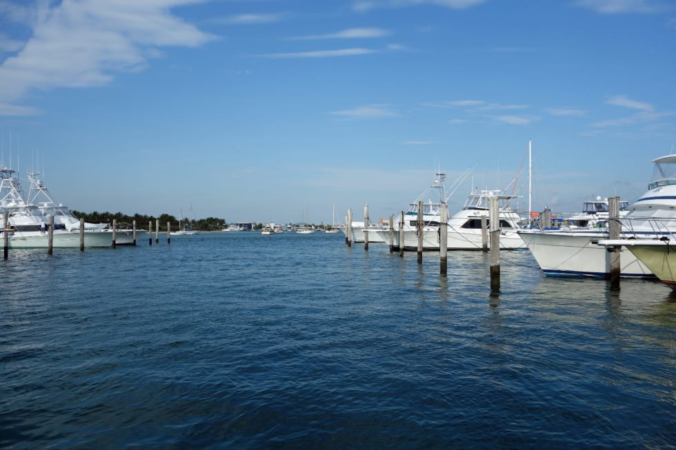 Palm Harbor - cities near Tampa