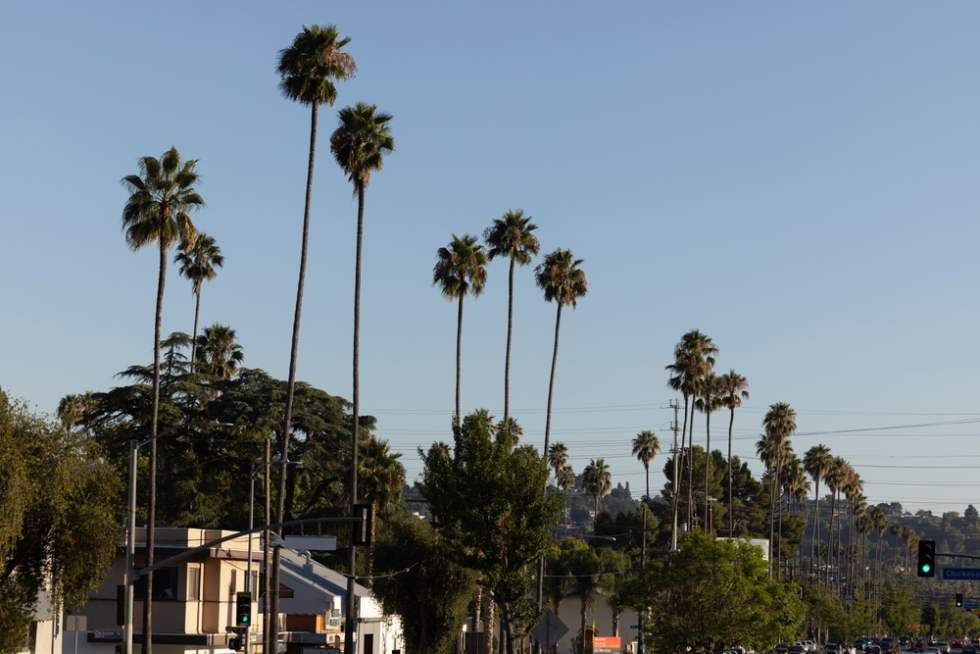Eagle Rock, one of the safest neighborhoods in Los Angeles