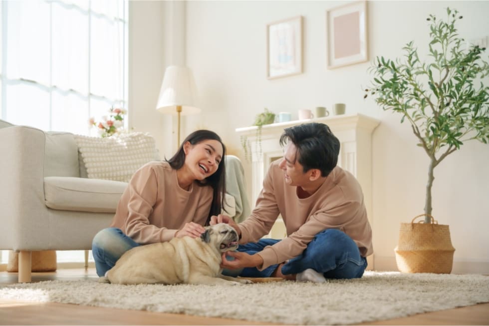 does-renters-insurance-cover-pets-1