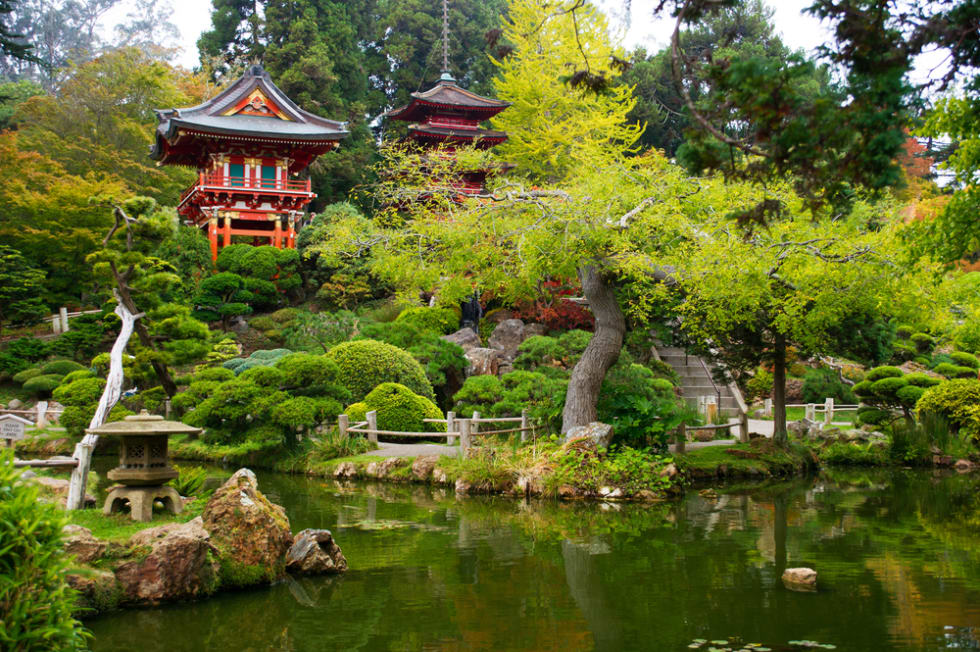 Japanese Tea Garden in Golden Gate Park