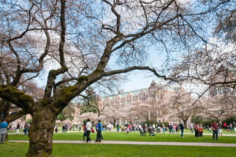 University of Washington in Seattle Quad