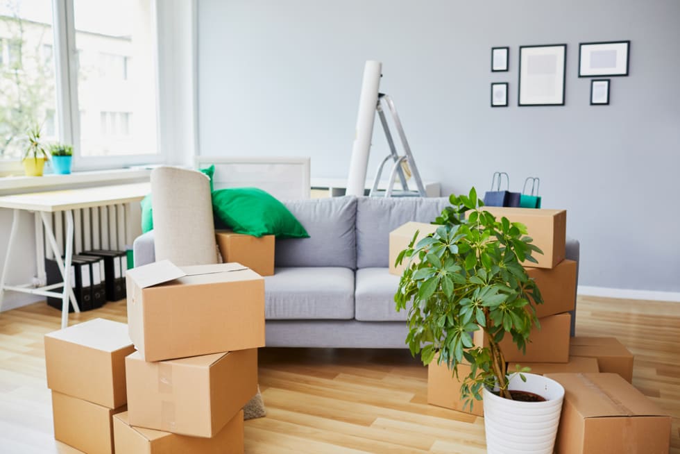 setting up new home