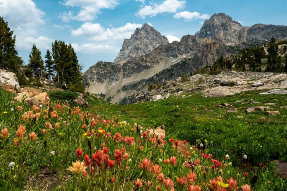 cost-of-living-in-wyoming-3