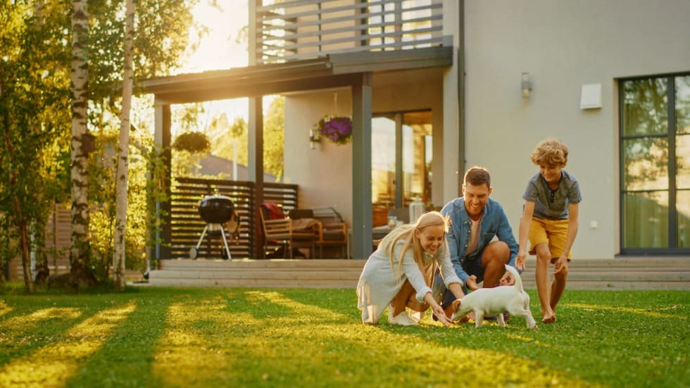 house-backyard